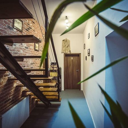 Hotel Timhouse Temešvár Exteriér fotografie